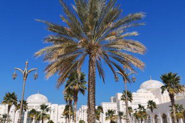 découvrez notre sélection de locations de vacances pour des séjours inoubliables